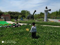 -中国扬子鳄村
