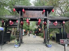 -合肥滨湖国家森林公园