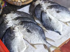 -南沙十九涌渔人码头-南门