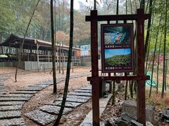 -宁波浙东大竹海景区