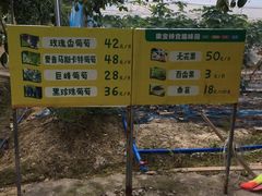 -广东花都香草世界旅游度假区