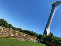 -沈阳植物园