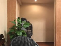 -莲泰式·中式·沐足·精油SPA采耳(天河店)