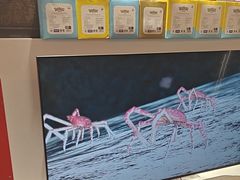 -任天堂Nintendo Switch体验店(天河城店)