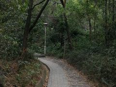 -大雁山风景区