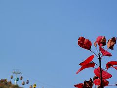 -周口店坡峰岭风景区