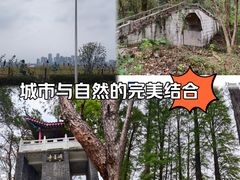 -青龙山国家森林公园