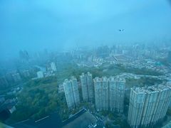 -上海龙之梦万丽酒店