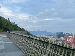 -福道