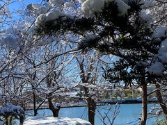 -八大山人梅湖景区