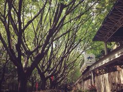 iphone_upload_pic-东部华侨城