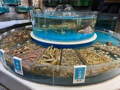 -金海湾海鲜总店