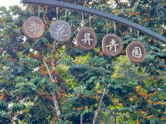 -中国科学院西双版纳热带植物园