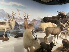 -陕西自然博物馆