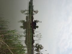 梁鸿国家湿地公园-梁鸿国家湿地公园