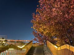 -桃酥大王(北关西路店)