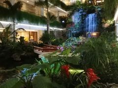-白天鹅宾馆·流浮阁咖啡厅