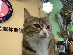 -JOJO实景沉浸侦探剧本杀(大悦城店)