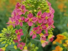 -中国天府农业博览园