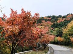 -北京西山国家森林公园