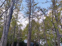 -上海第二工业大学(金海路校区)