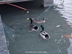 -海珠湖公园
