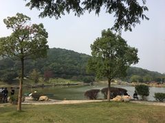 -龙寺生态园