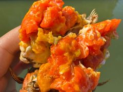 -品鲜村农家菜·阳澄湖大闸蟹(总店)