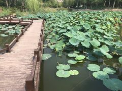 -南翠屏公园