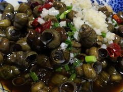 -呼吸森林·生态农庄农家乐私房菜