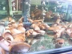 -国际金钻海鲜餐厅