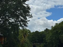 -奥兰多迪士尼动物王国乐园