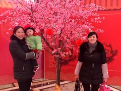 -碧桂园凤凰城酒店(南京店)