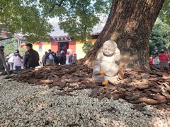 -龙华素斋(龙华路店)