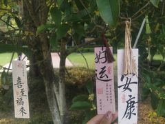 -凤城河风景区