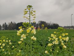 -中国天府农业博览园