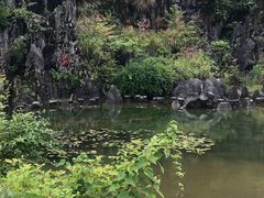 -千岛湖石林