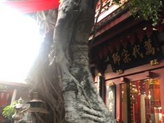 -叩齿古寺