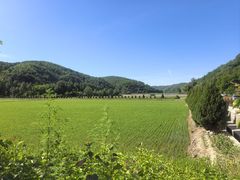 -南泥湾风景区