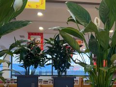 -大清花饺子(山庄店)