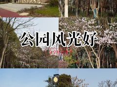 -梁鸿国家湿地公园