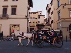 -圣母百花大教堂穹顶