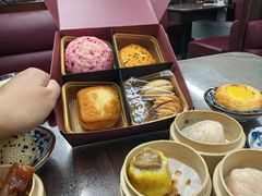 -广州都市观光巴士(粤陶巴)
