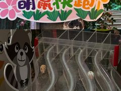 -正佳雨林生态植物园