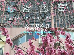 -西安创业咖啡街区