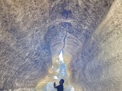 -黎坪国家森林公园