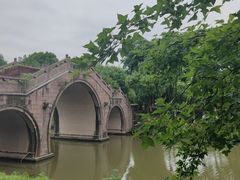 -绍兴镜湖国家城市湿地公园