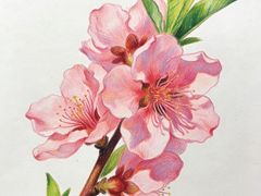 -北京华联购物中心(同成街店)