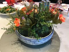 -沪碟·精菜坊(闵行店)