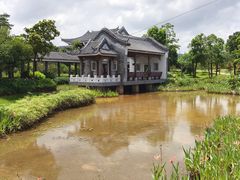 -大亚湾红树林城市湿地公园